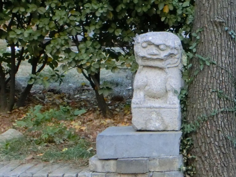 CIMG0322 - Version 2