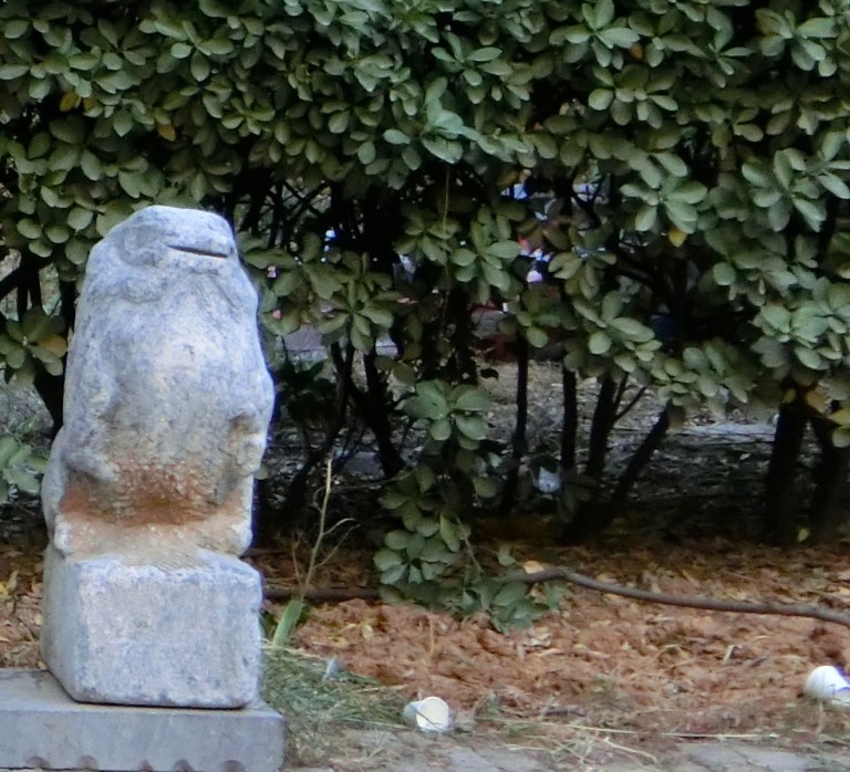 CIMG0322 - Version 3