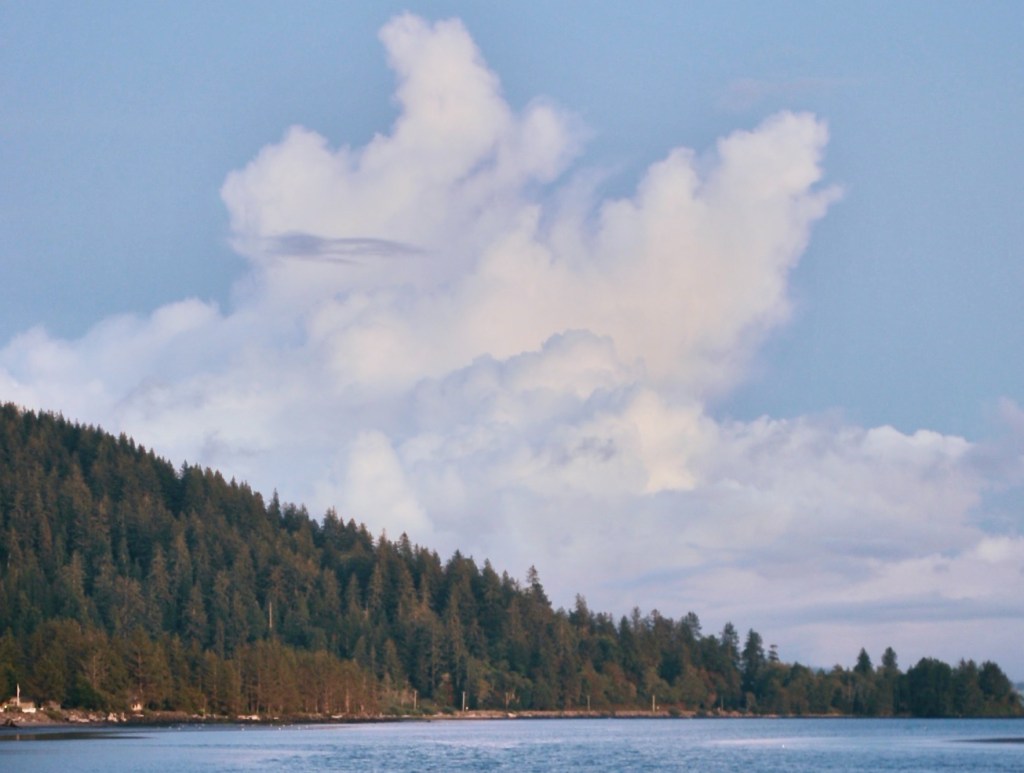 large cumulonimbus clouds in a baby blue sky over a pine tree covered hill.