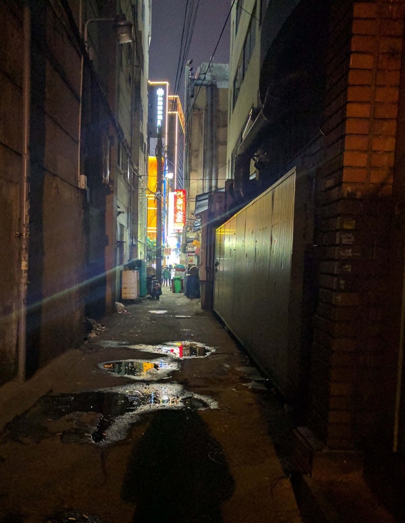 A photograph of a dark dirty Busan alleyway with puddles reflecting neon signs in from the distance.